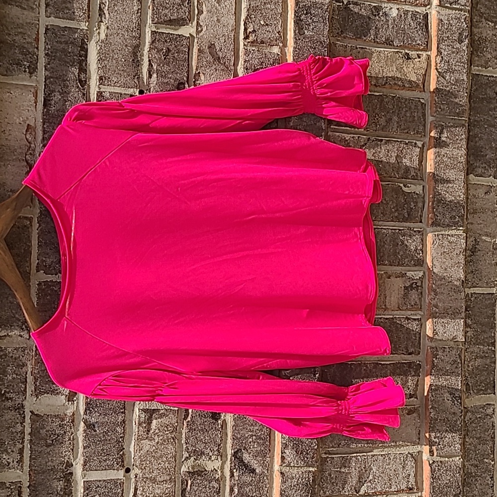 Ann Taylor Petite Hot Pink Long Sleeve Blouse Size Medium MP